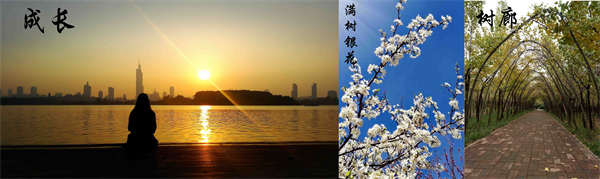 3915k1体育十年品牌值得信任(中国游)官方网站