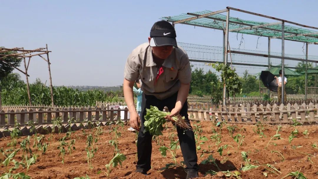 3915k1体育十年品牌值得信任(中国游)官方网站