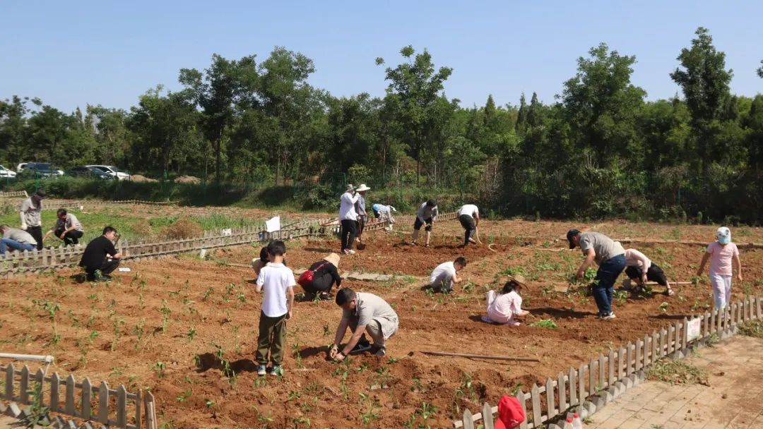 3915k1体育十年品牌值得信任(中国游)官方网站