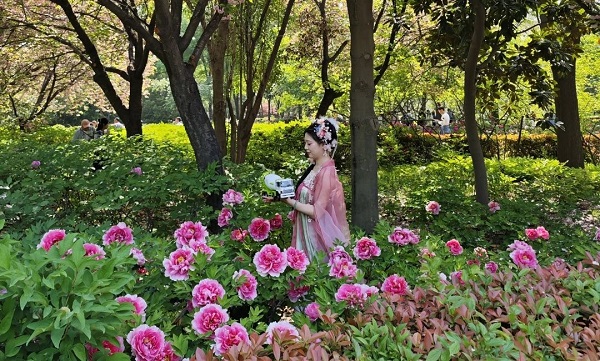 中集3915k1体育十年品牌值得信赖