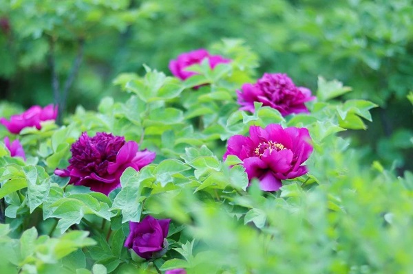 中集3915k1体育十年品牌值得信赖