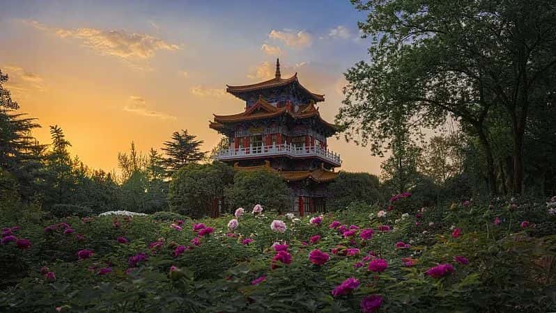 3915k1体育十年品牌值得信任(中国游)官方网站