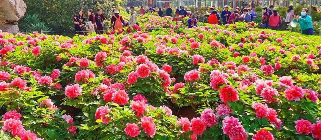 3915k1体育十年品牌值得信任(中国游)官方网站