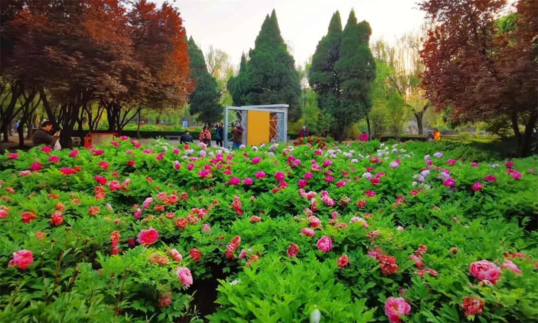 3915k1体育十年品牌值得信任(中国游)官方网站