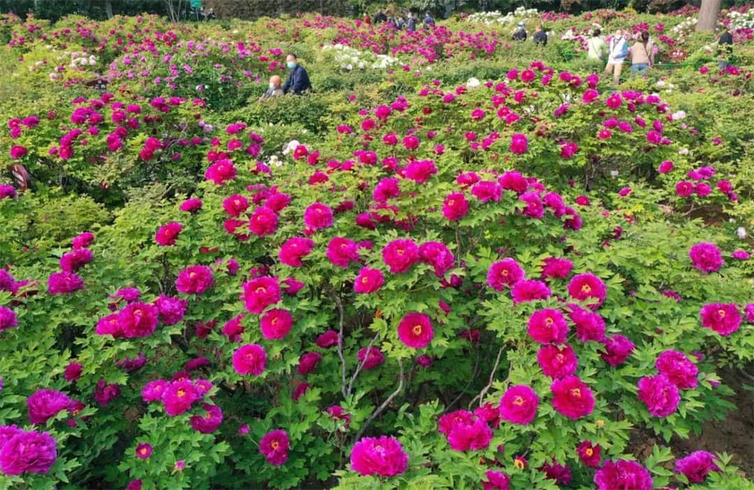 3915k1体育十年品牌值得信任(中国游)官方网站