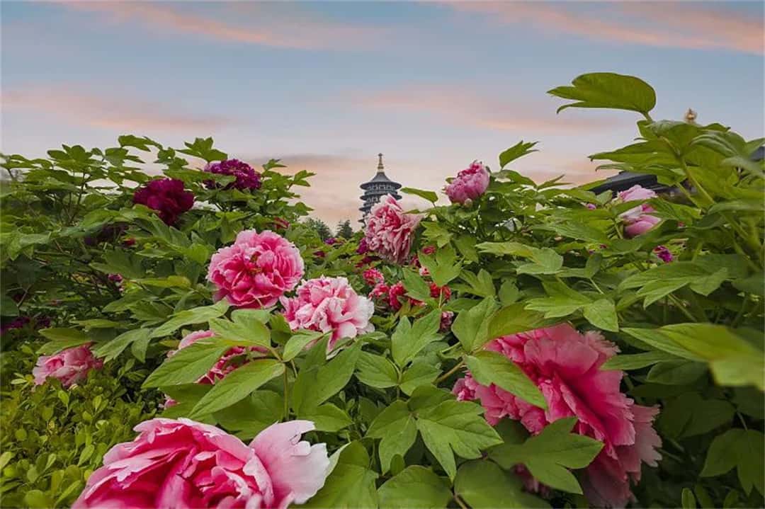 3915k1体育十年品牌值得信任(中国游)官方网站