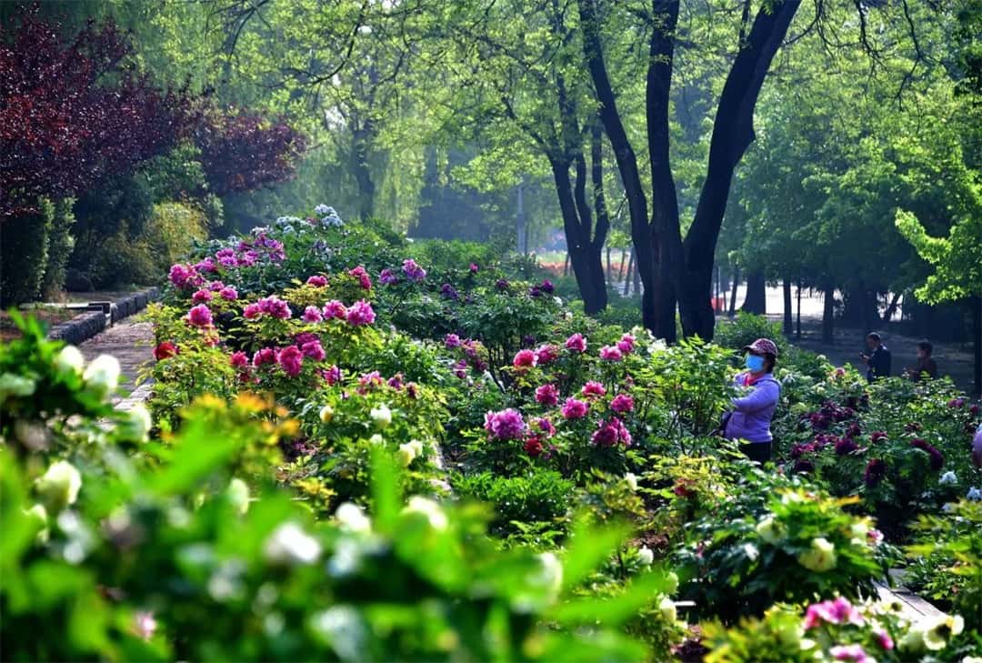 3915k1体育十年品牌值得信任(中国游)官方网站