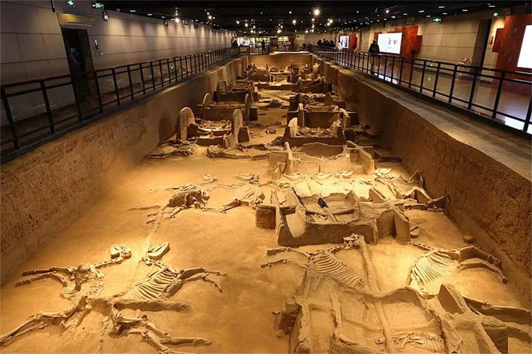 3915k1体育十年品牌值得信任(中国游)官方网站