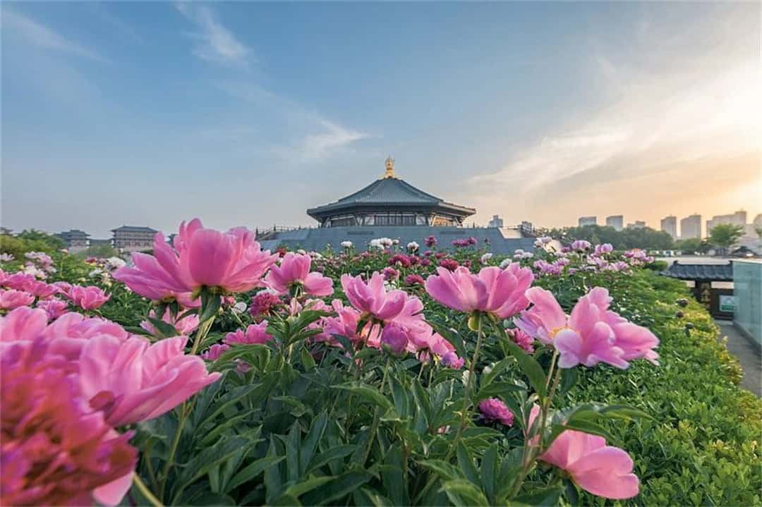 3915k1体育十年品牌值得信任(中国游)官方网站