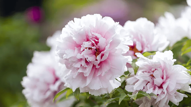 3915k1体育十年品牌值得信任(中国游)官方网站