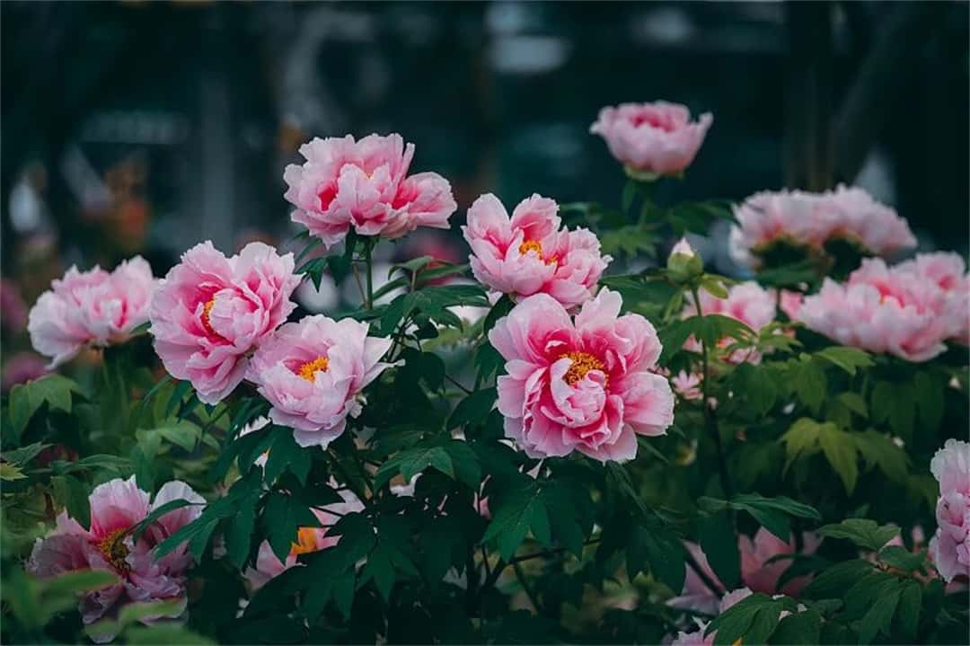 3915k1体育十年品牌值得信任(中国游)官方网站