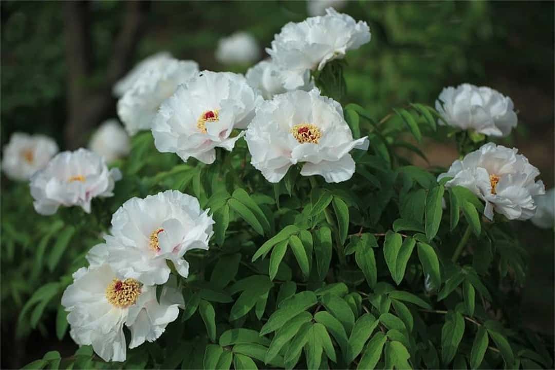 3915k1体育十年品牌值得信任(中国游)官方网站