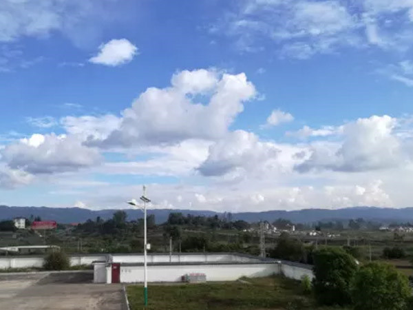 洛阳市280台公交车项目"花"落中集3915k1体育十年品牌值得信赖