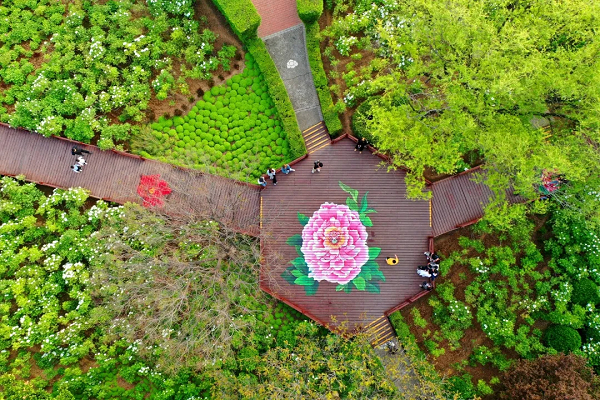 豫见高端，洛赏牡丹，错过等一年