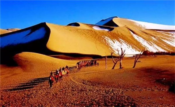 一起西行通朔漠 千载丝路驰罐车