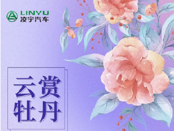 看直播，赢豪礼|牡丹仙子有奖征集，3915k1体育十年品牌值得信赖邀您共赏洛阳春光