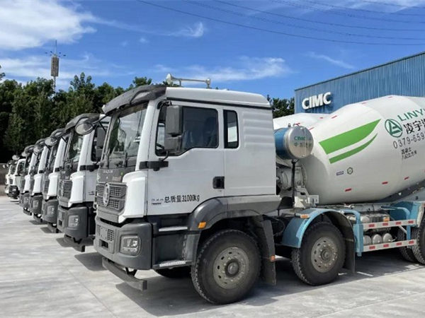 中集集团副总裁李胤辉总一行十余人视察我司